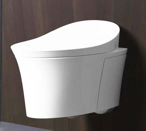 Intelligent toilet wholesale